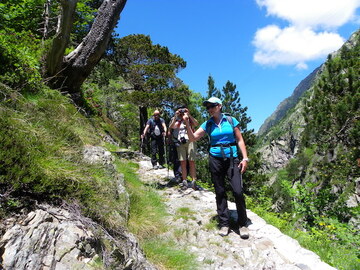 Randonnée pédestre en montagne 