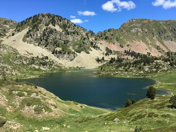 Pyrénées Liberté