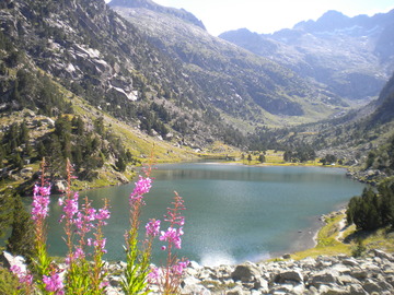 Pyrénées Liberté