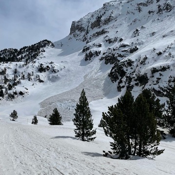 Pyrénées Liberté