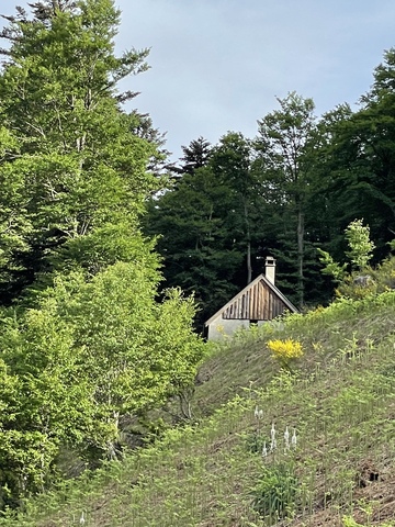 Pyrénées Liberté