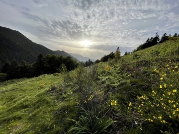 Pyrénées Liberté