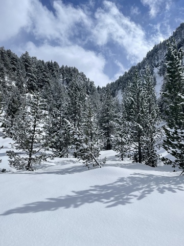 Pyrénées Liberté