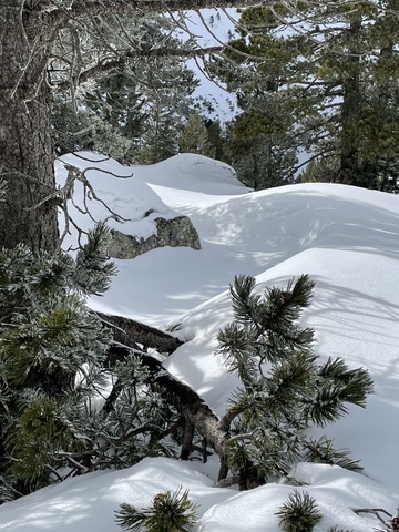 Randonnées raquettes dans les pyrénées