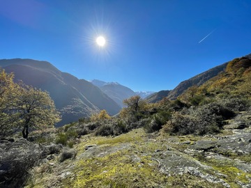 Pyrénées Liberté